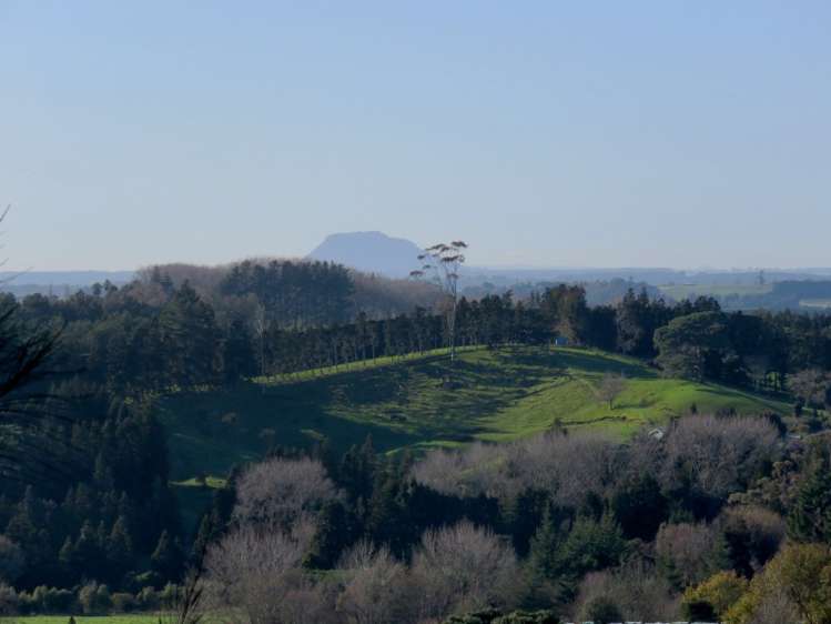 33 Windridge Lane Aongatete_5