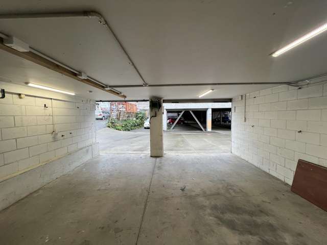 46 Abel Smith Street Te Aro_1