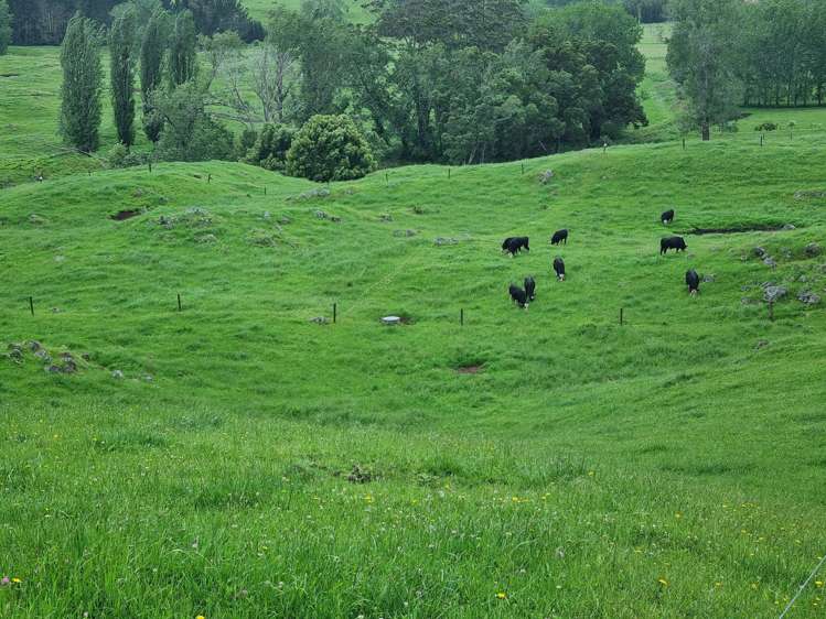 267 Ludbrook Road Pakaraka_17