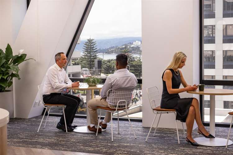 Level 2, 1 Willis Street Wellington Central_1