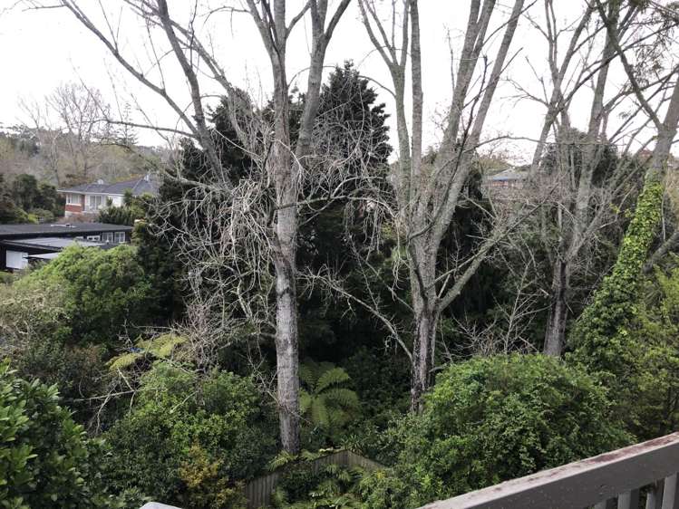 15 Tanglewood Place Cockle Bay_14