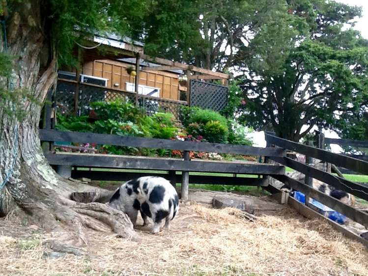 246 Otau Mountain Road Clevedon_5