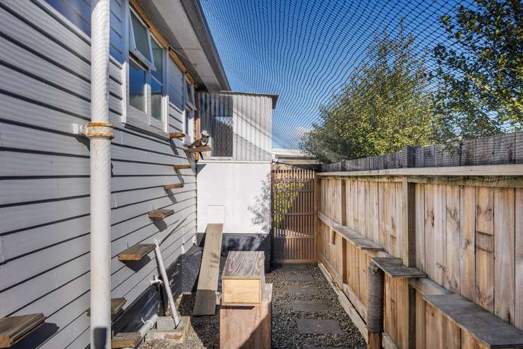 2 Avon Terrace Roslyn_23