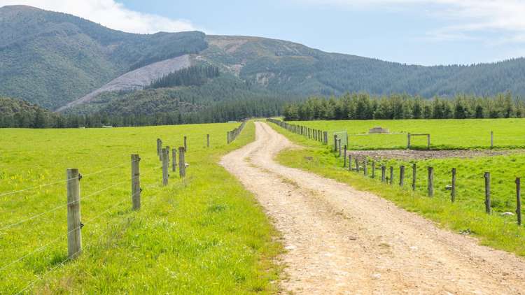 Quarry Road Loburn_11