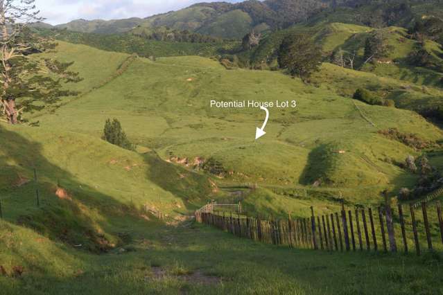 Hill Road Te Aroha_4