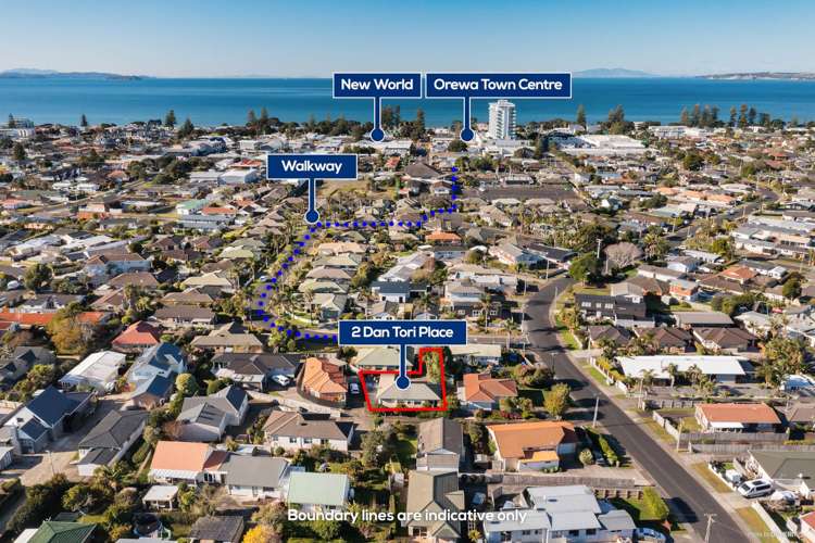 2 Dan Tori Place Orewa_3