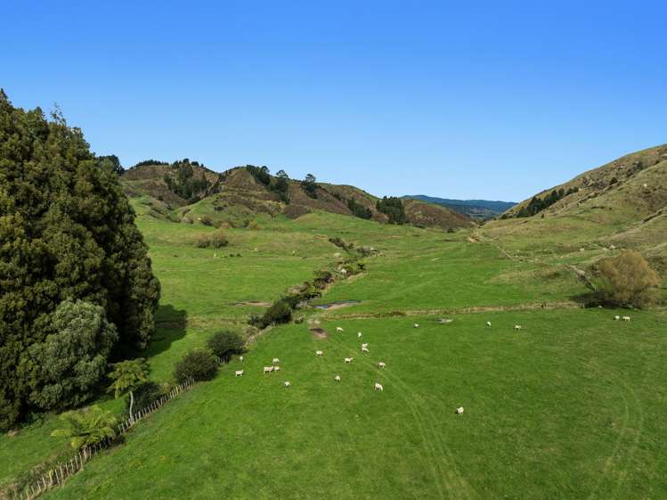 179 and 216 Rankin Road Waiotahe_21