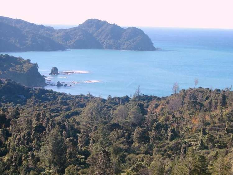 31 Pumpkin Hill Road Pumpkin Hill_8