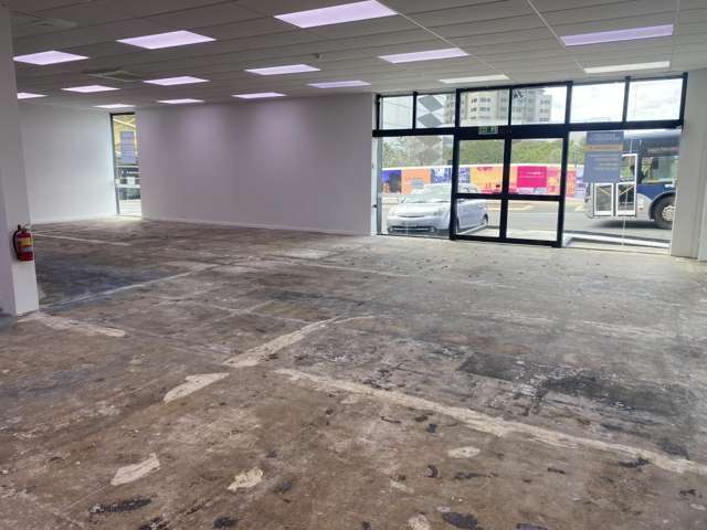 1 Auburn Street Takapuna_4