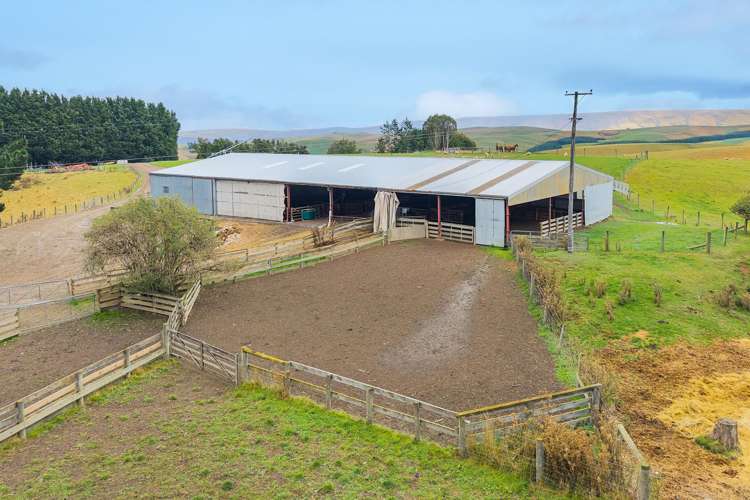 665-901 Tima Burn Road Teviot_7