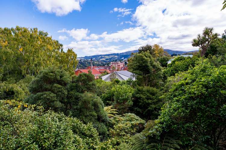 15 Hatfield Street Opoho_26