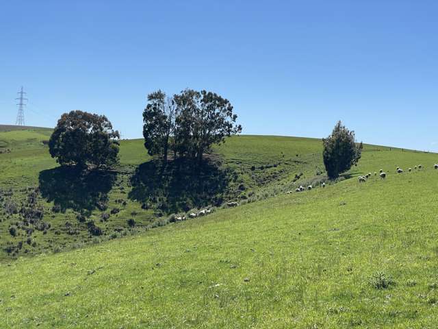 Cameron Road Tapanui_3