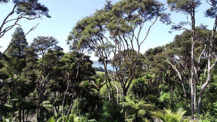 41 Tarapatiki Drive Whitianga_35