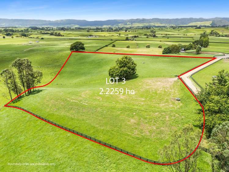 Lot Lot 2, 3 & 5 Harwoods Road Tirau_6