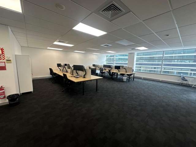 139 Carlton Gore Road Newmarket_2