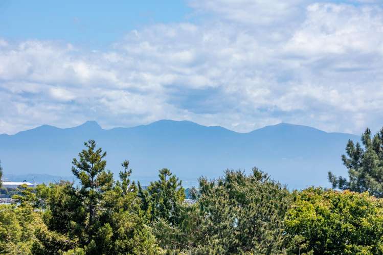 156 Atawhai Drive Atawhai_10