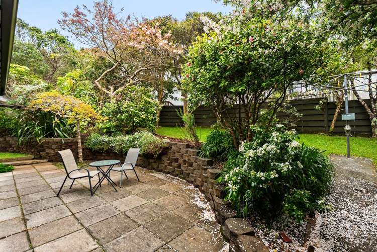 56 Truscott Avenue Johnsonville_22