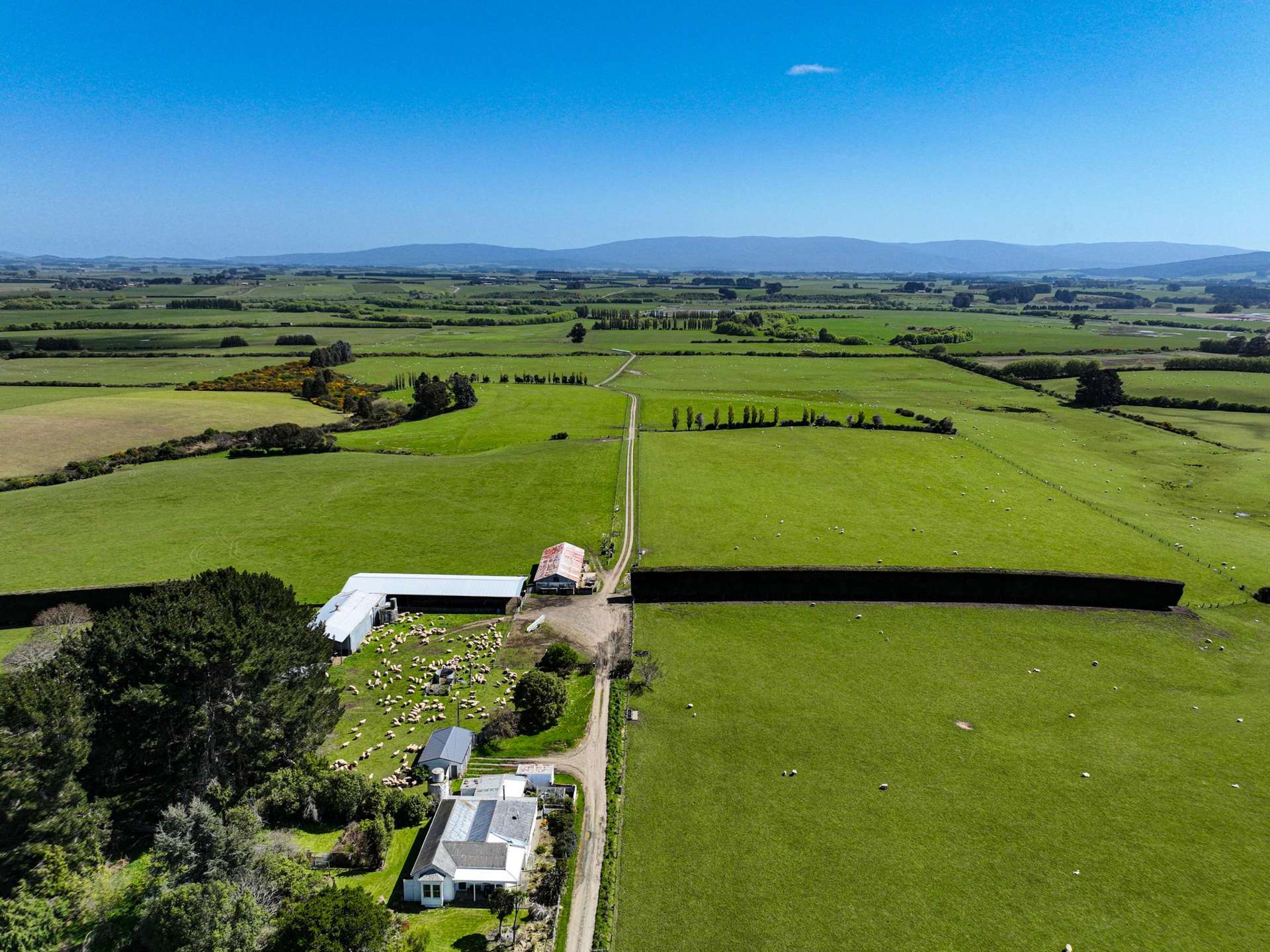 237 Limestone Plains Road Thornbury_0