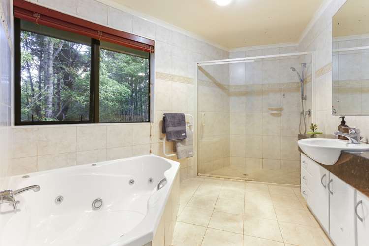 301 Wright Road Dairy Flat_14