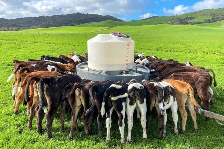 392 and 421 Journeys End Tapora_8