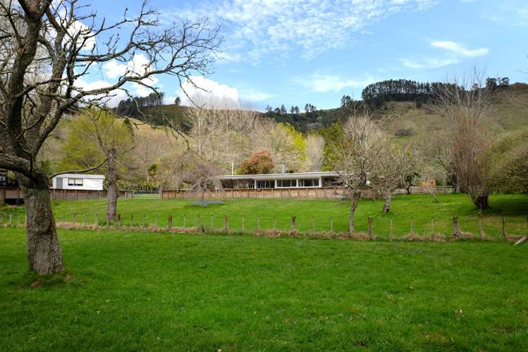 1039 Paradise Valley Road Ngongotaha Valley_36