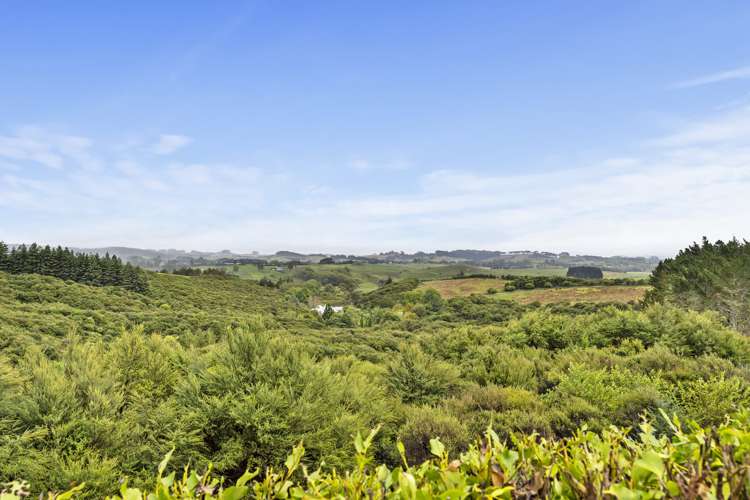 1 Jack Barry Road Waitoki_27