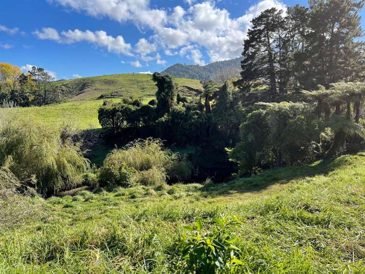 Moerangi Road Oparau_15