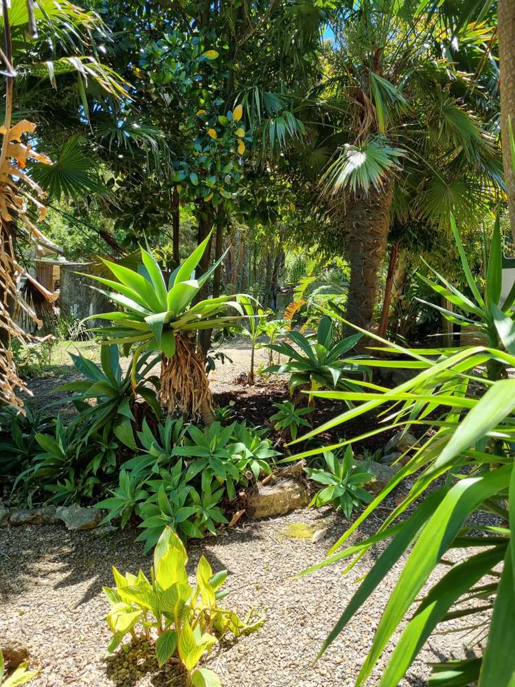 10 Te Makiri Road Onetangi_16