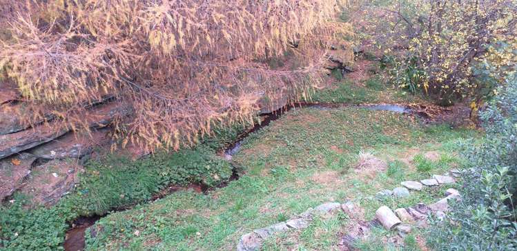 2 Nugget Knob Queenstown_7