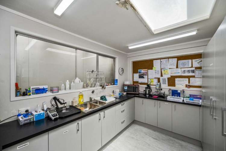 9 Canon Place Pakuranga_18