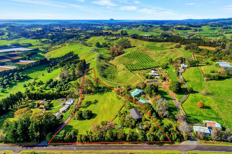 399 Wainui South Road Whakamarama_19