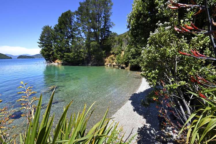 256 Elaine Bay Road Marlborough Sounds_32