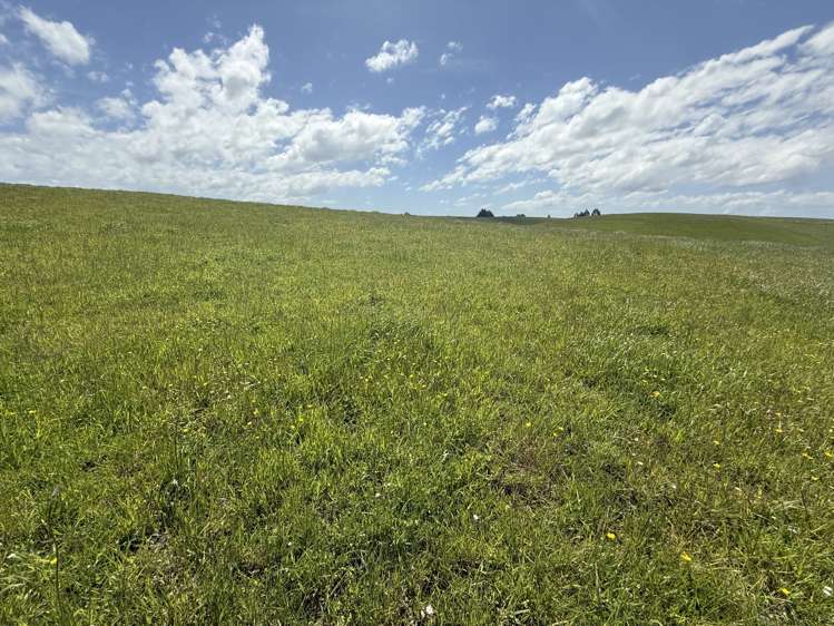 Kakapuaka Road Balclutha_4