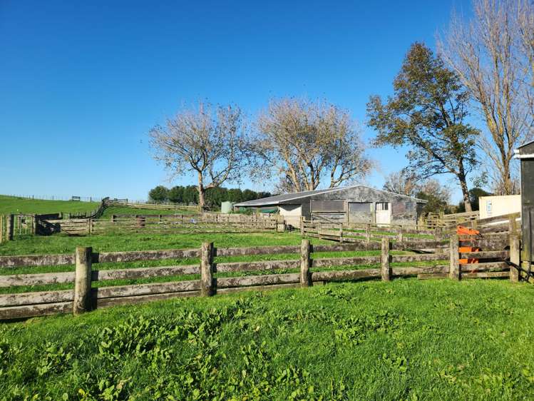 336 Dominion Road Tuakau_19