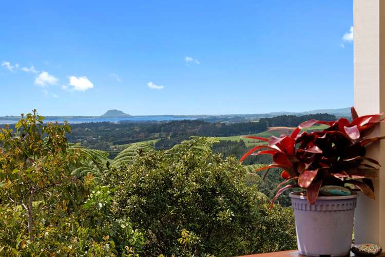 417 Hot Springs Road Hauraki Surrounds_1