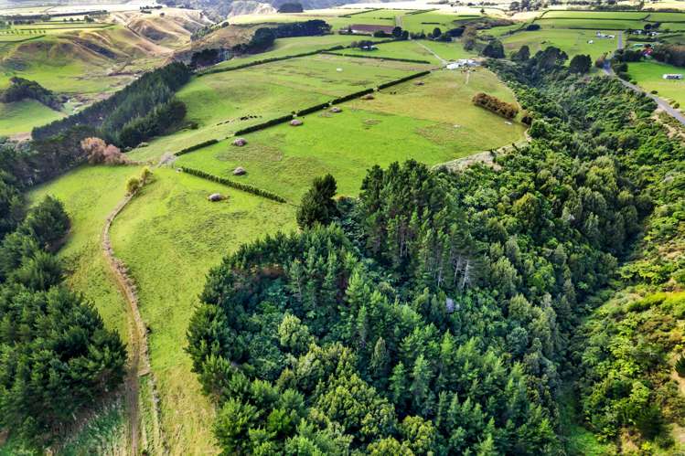 Whakamara Road Hawera_14