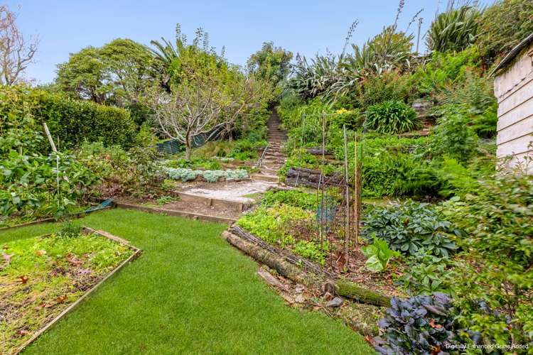 351 Tukapa Street Hurdon_20