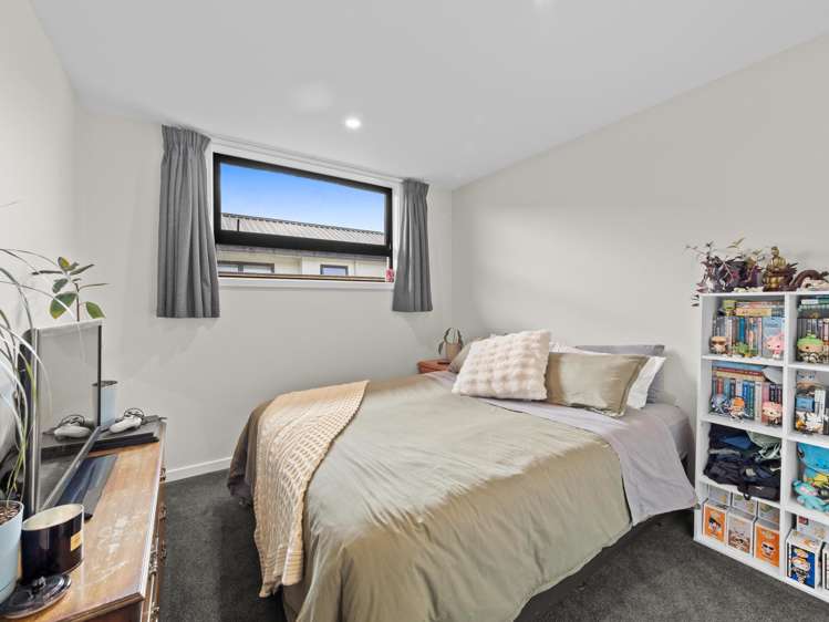 45 Ashbury Drive Tinwald_17