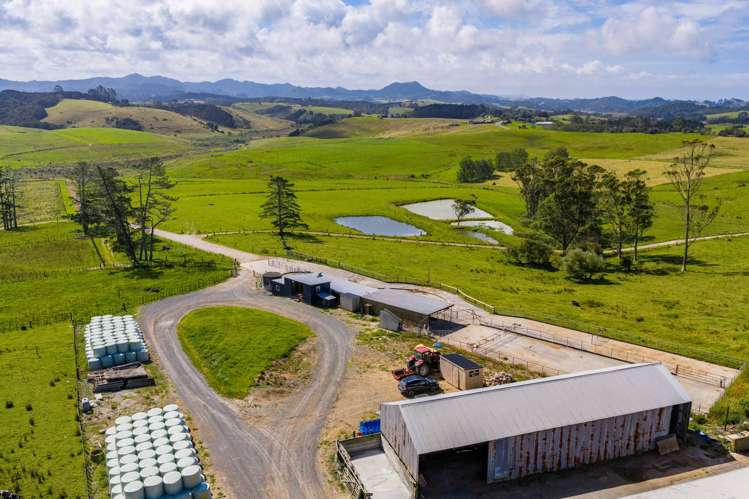 271 Pataua South Road Pataua South_3