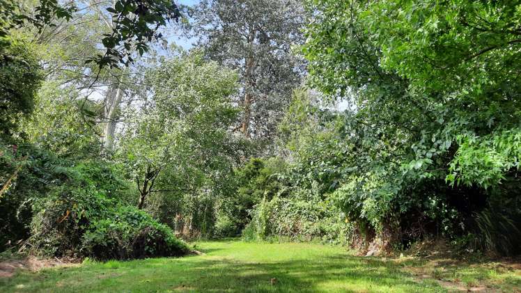 746 Clutha River Road Rongahere_33