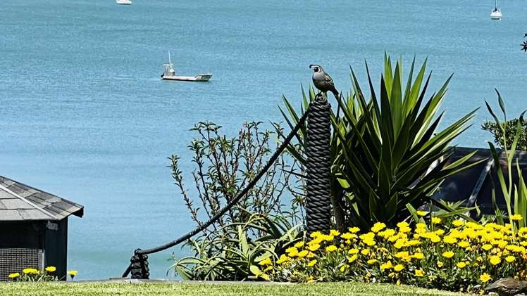 1275 Wyuna Bay Road, Wyuna_5