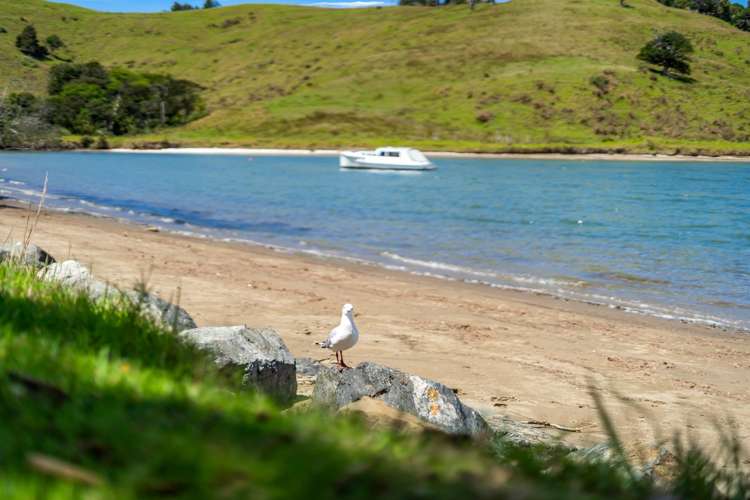 89 Clinton Road Tawharanui Peninsula_30