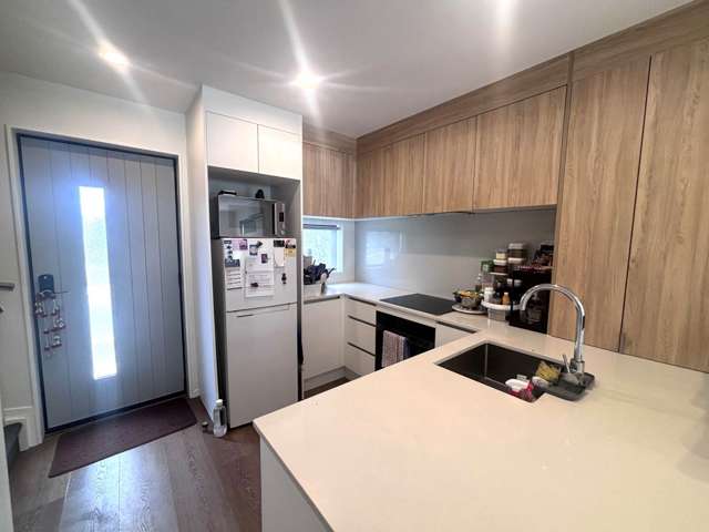 62 Selo Street Glen Eden_3