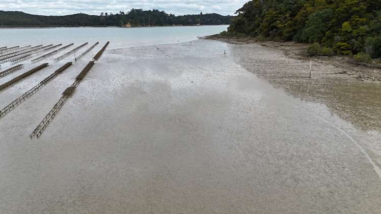 Waikare Inlet Opua_9