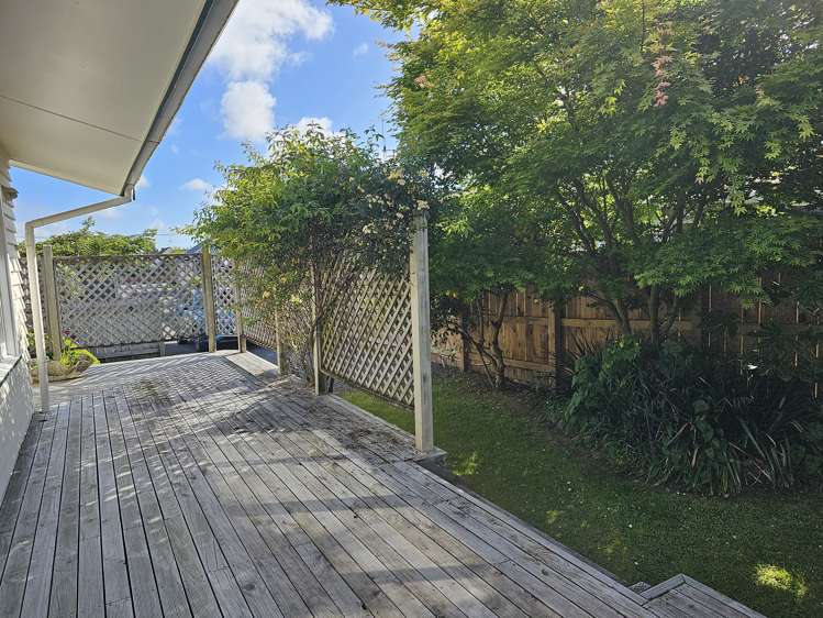 20b York Street Levin_7