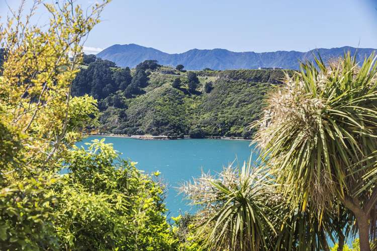 1/53 Grafton Road Roseneath_15