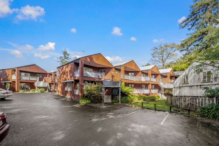 17/3 The Avenue Albany_12