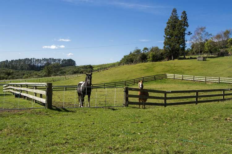 97 Ross Road Whakamarama_16