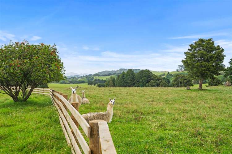 120 Springs Road Poroti_18