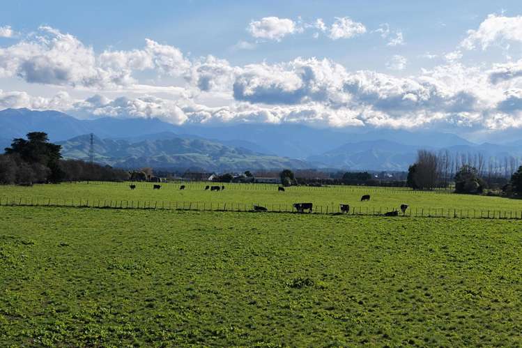 326 Cornwall Road East Taratahi_4